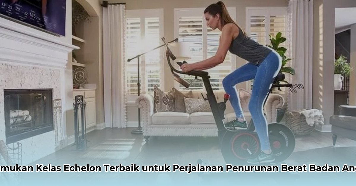 best echelon classes for weight loss